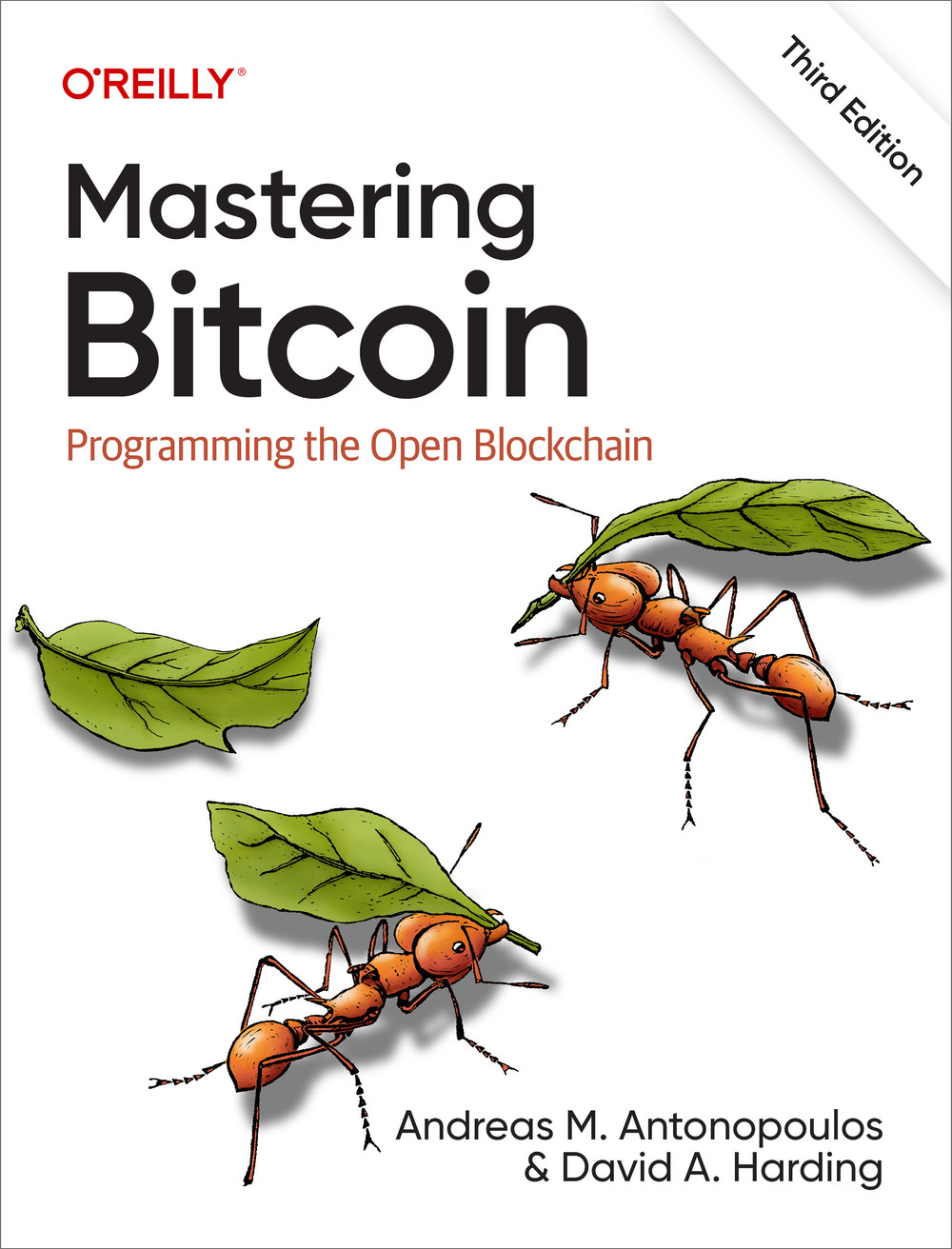 [Mastering Bitcoin](https://www.oreilly.com/library/view/mastering-bitcoin-3rd/9781098150082/)